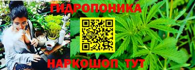 Альфа ПВП Кингисепп