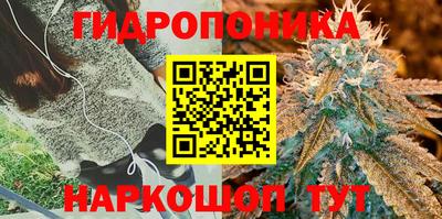 Альфа ПВП Кингисепп