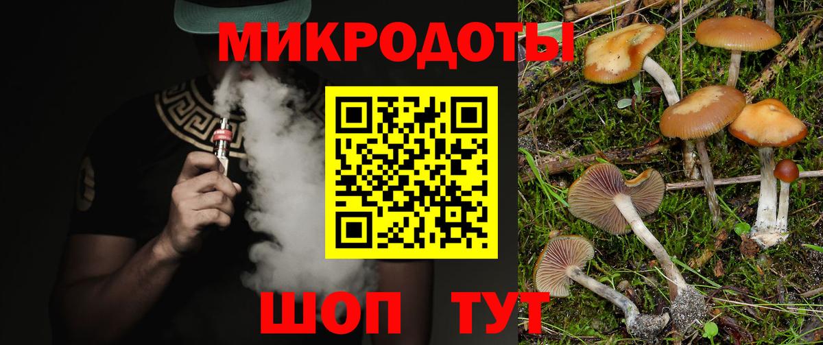 Галлюциногенные грибы GOLDEN TEACHER Черняховск