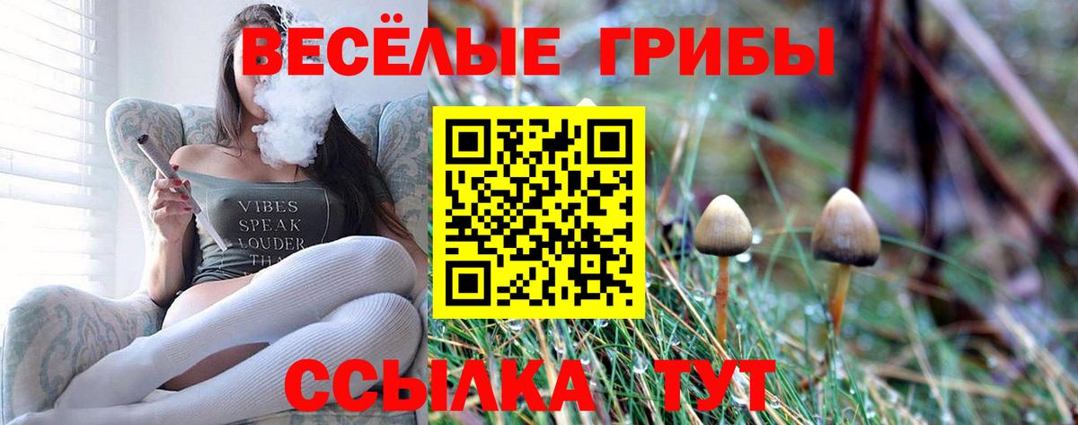 Галлюциногенные грибы GOLDEN TEACHER  Вход с VPN  Псилоцибиновые грибы мухоморы  Черняховск 